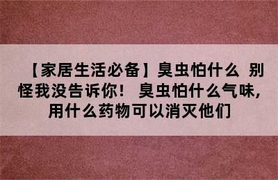 【家居生活必备】臭虫怕什么  别怪我没告诉你！ 臭虫怕什么气味,用什么药物可以消灭他们